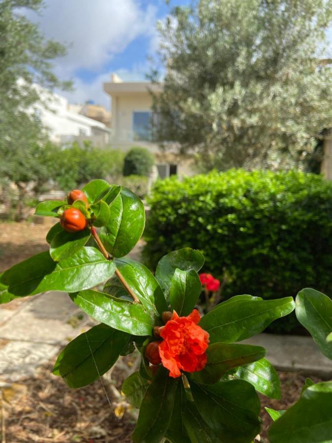 Maltese Garden Villa Mosta Exterior photo